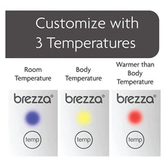 Baby Brezza Instant Formula Warmer For Baby Bottles Baby Brezza