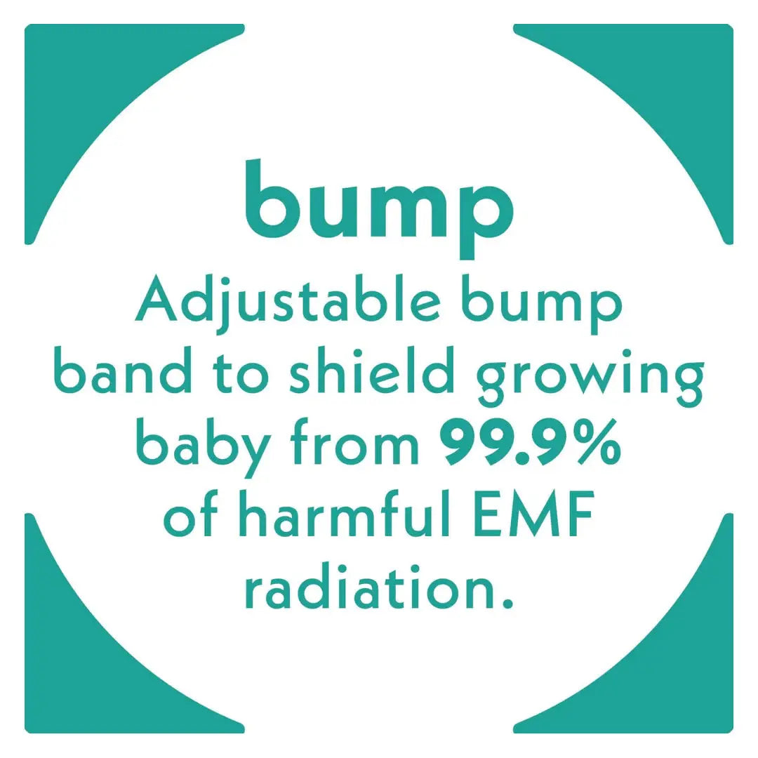 Prince Lionheart Bubl Bump Prince LionHeart