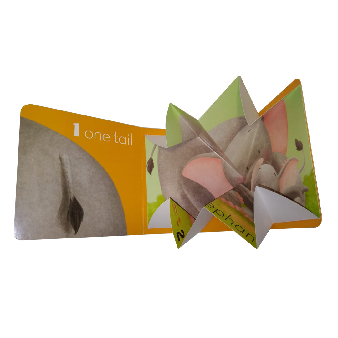 Scholastic 1, 2 at the Zoo Board book Scholastic