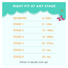 Seventh Generation- Baby Diaper Size 6