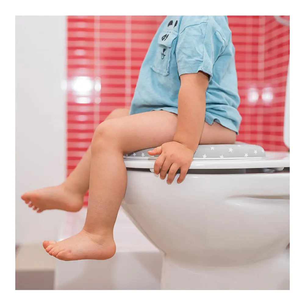 Olmitos Reducer Seat WC - Grey Olmitos