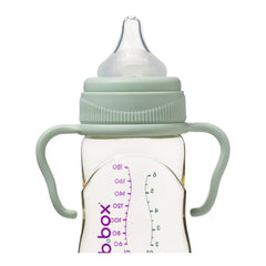 B.Box Baby Bottle Handles - Sage B.Box