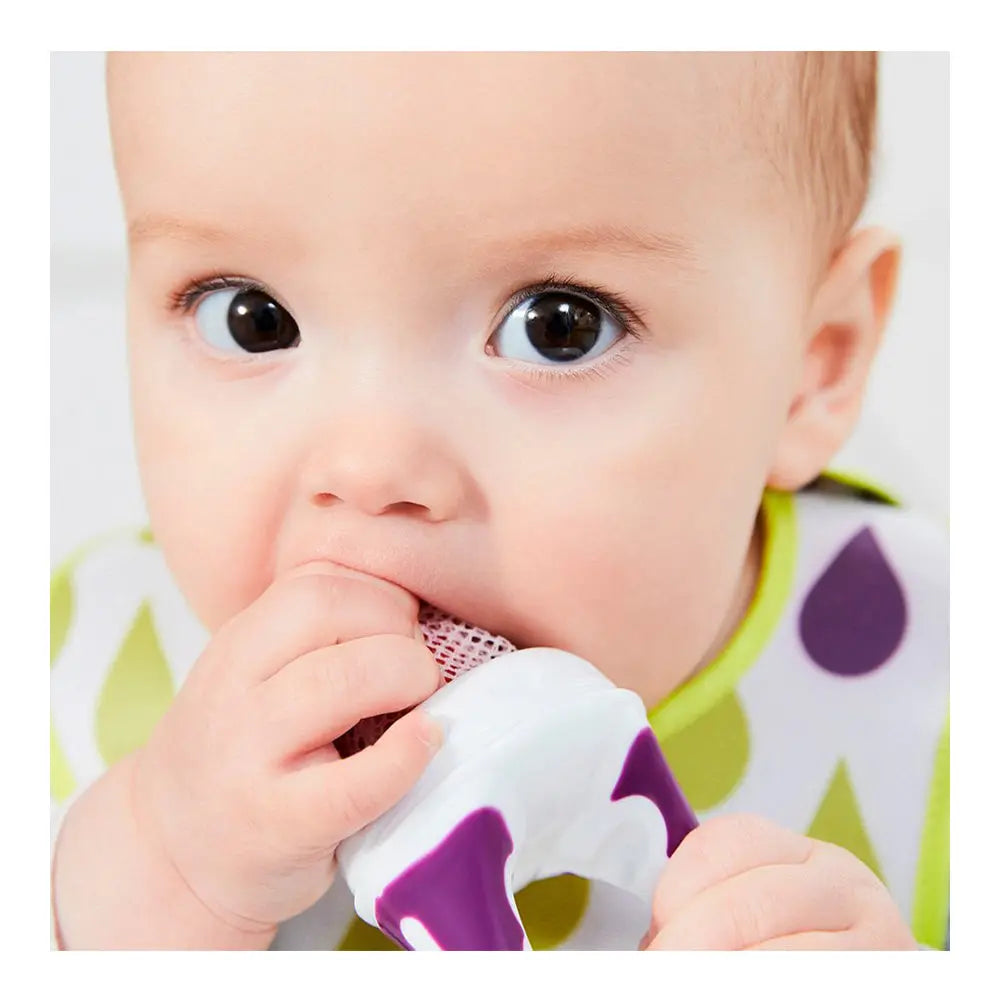 B.Box Fresh Food Feeder - Grape B.Box