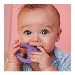 B.Box Trio Teether - Peony B.Box