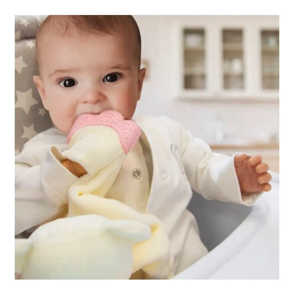 Baby Jem Teether Sleeping Buddy - Pink Baby Jem