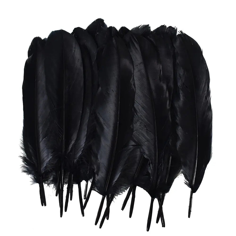 Large Black Feathers, 20 feathers Generic Brand