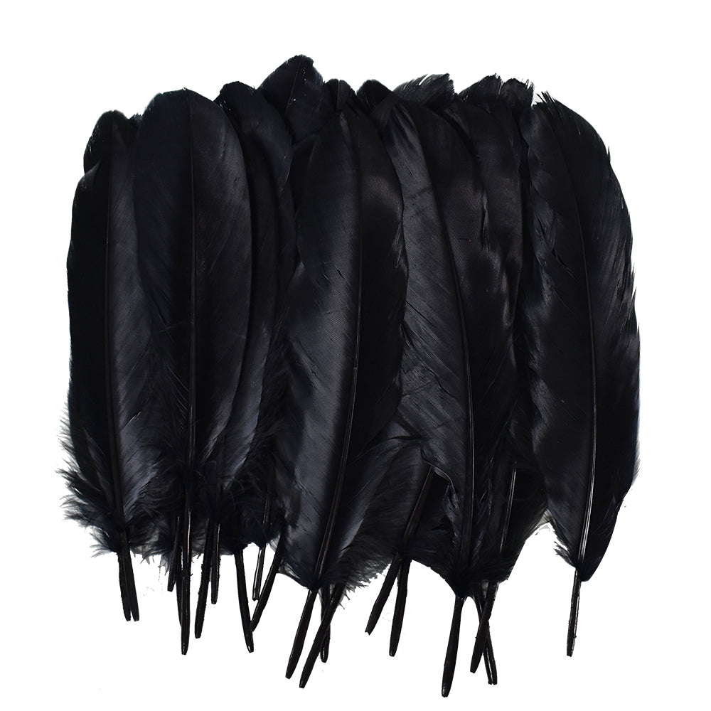 Large Black Feathers, 20 feathers Generic Brand