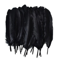 Large Black Feathers, 20 feathers Generic Brand