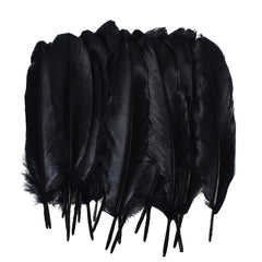 Large Black Feathers, 20 feathers Generic Brand
