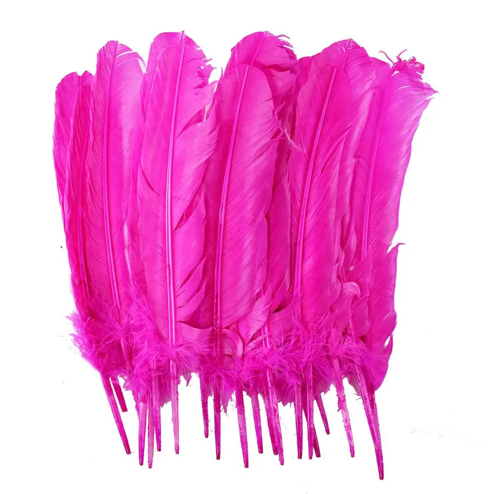 Large Pink Feathers, 20 feathers Generic Brand