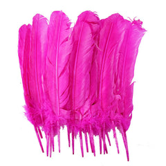 Large Pink Feathers, 20 feathers Generic Brand