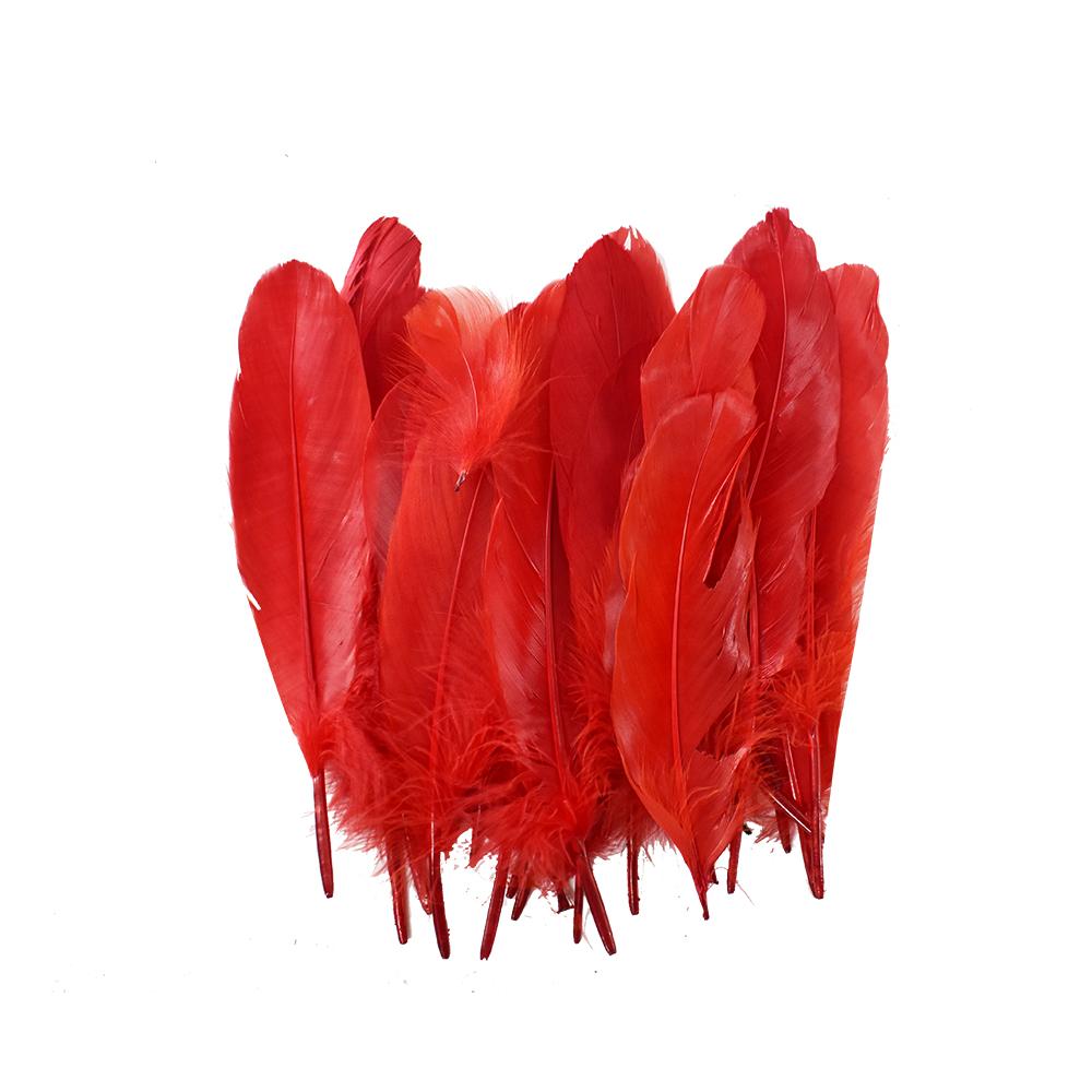 Small Red Feathers, 20 feathers Generic Brand