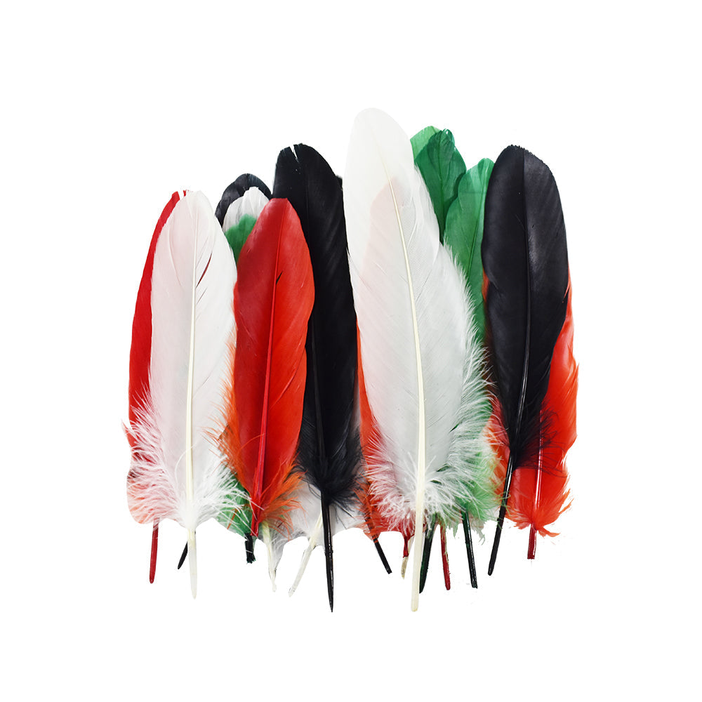 Large Assorted Colors Feathers, 20 feathers Generic Brand