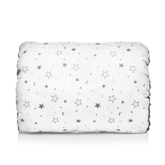 Lansinoh Breastfeeding Pillow