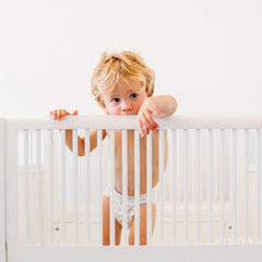 حامي حاجز سرير الأمير الأسد قلب الأسد