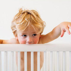 حامي حاجز سرير الأمير الأسد قلب الأسد