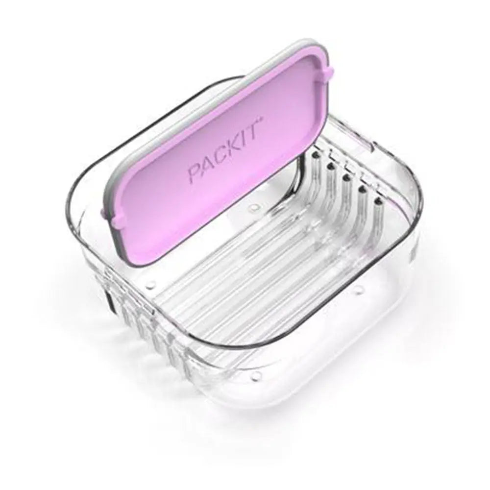 Packit Mod Snack Bento - Peony PackIt