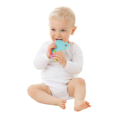 Playgro Clip Clop Activity Teether - Multi Color