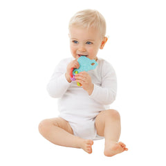 Playgro Clip Clop Activity Teether - Multi Color Playgro