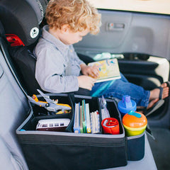 Prince LionHeart Travel Organizer