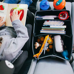 Prince LionHeart Travel Organizer Prince LionHeart