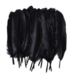 Large Black Feathers, 20 feathers Generic Brand
