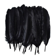 Large Black Feathers, 20 feathers Generic Brand