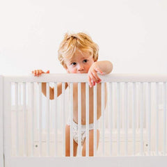 حامي حاجز سرير الأمير الأسد قلب الأسد