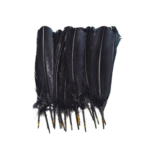 Small Black Feathers, 20 feathers