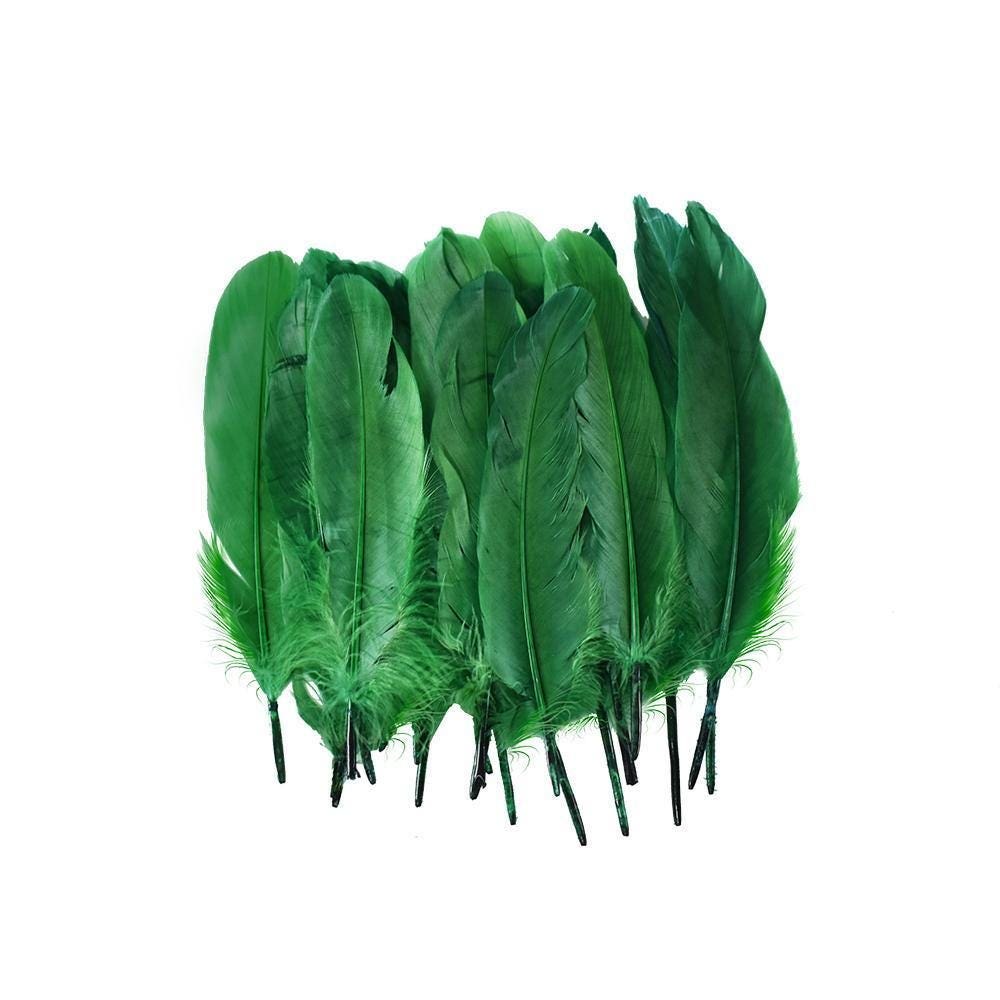Small Green Feathers, 20 feathers Generic Brand