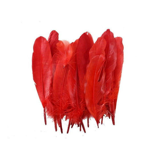 Small Red  Feathers, 20 feathers