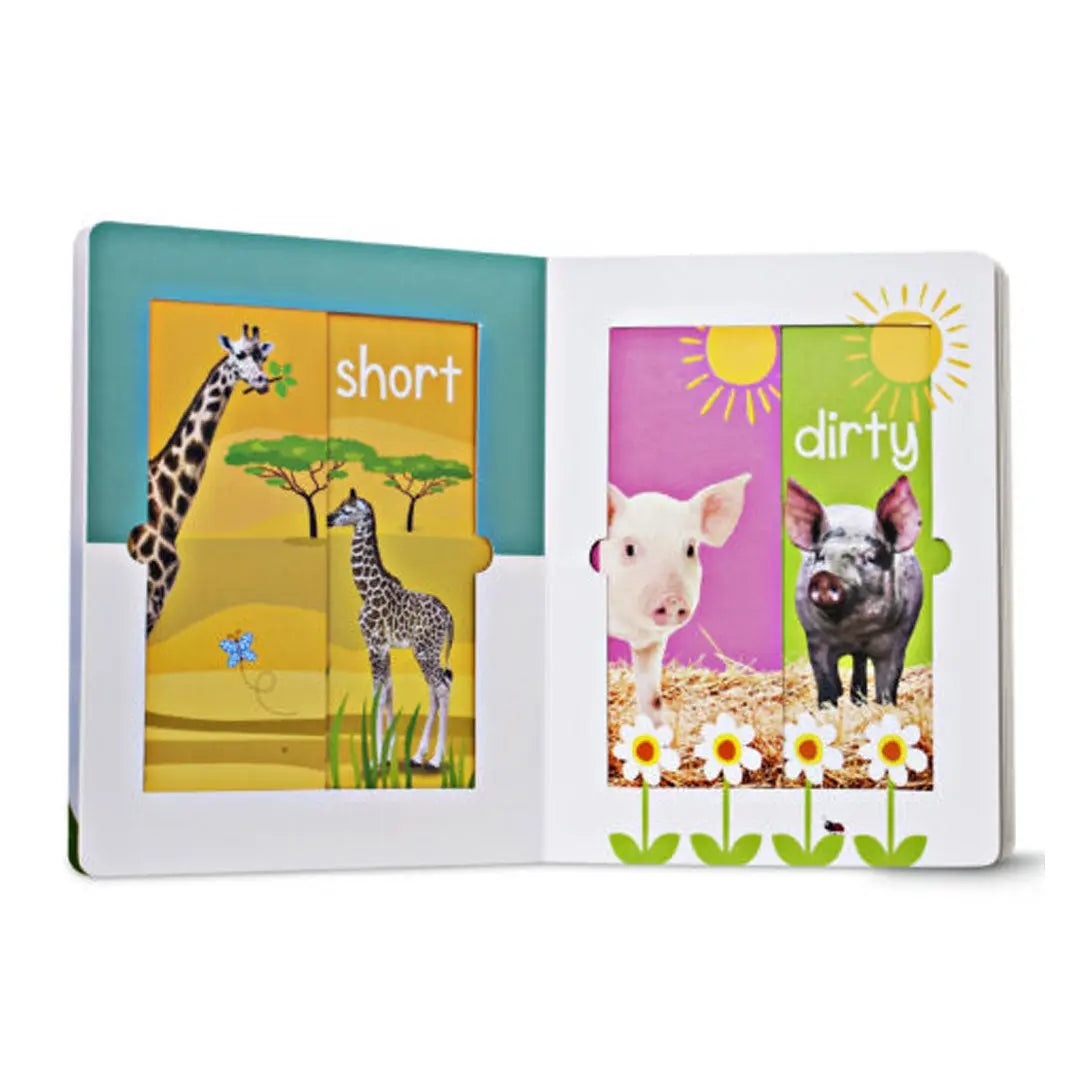 Scholastic Early Learners: Amazing Animals Big and Small Scholastic