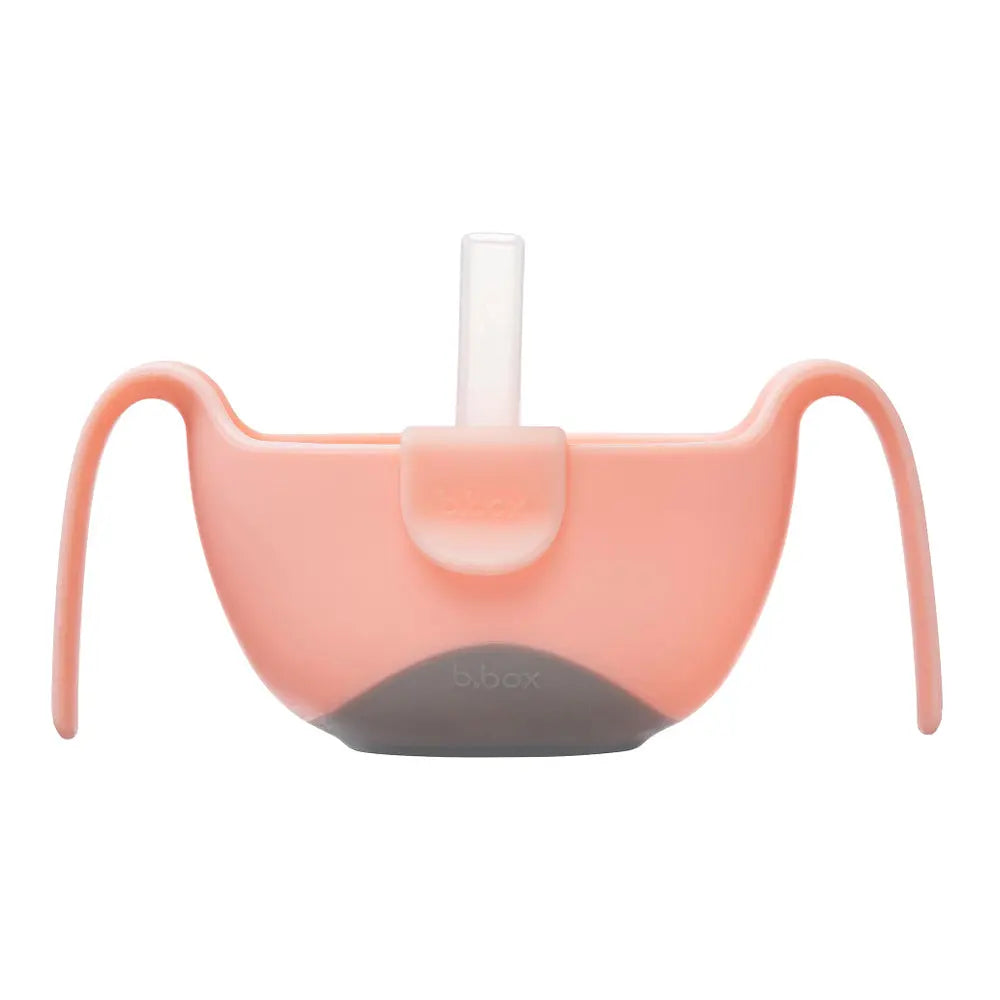 B.Box Bowl and Straw - Tutti Fruitti B.Box