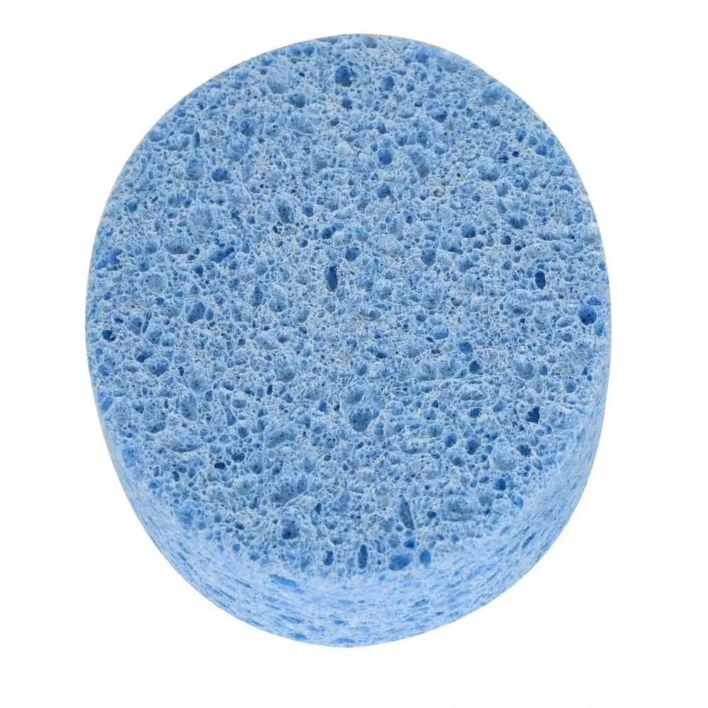 Sevi Bebe Cellulosic Baby Bath Sponge - Pack of 1 Sevi Bebe