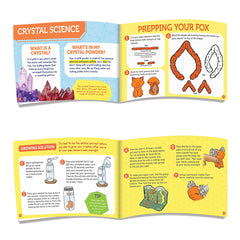 Grow Your Own Crystal Fox