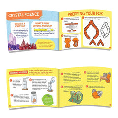 Grow Your Own Crystal Fox Klutz Press