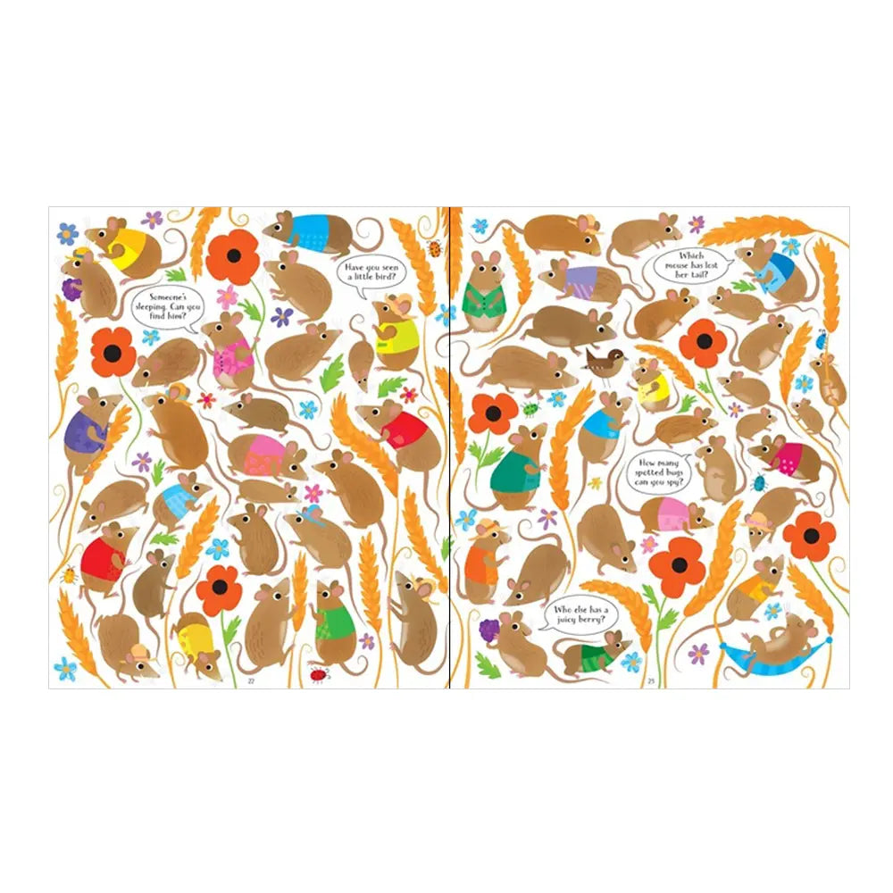 Look and Find on the Farm Usborne Publishing