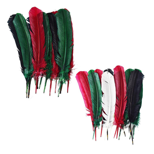 Large Assorted Colors Feathers, 20 feathers