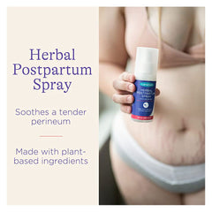 Lansinoh postpartum recovery essentials