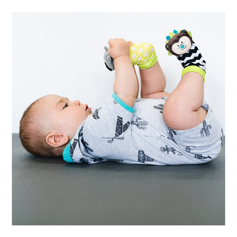 مكتشفات القدم BBluv - القنفذ والراكون