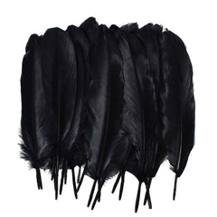 Large Black Feathers, 20 feathers