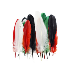 Large Assorted Colors Feathers, 20 feathers