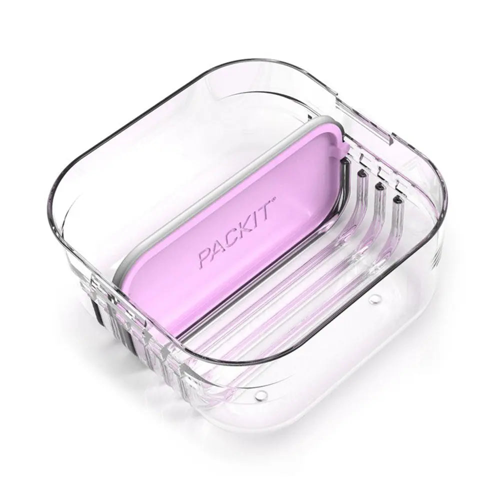 Packit Mod Snack Bento - Peony PackIt