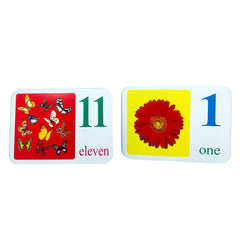 Flash Cards English Numbers