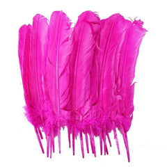 Large Pink Feathers, 20 feathers