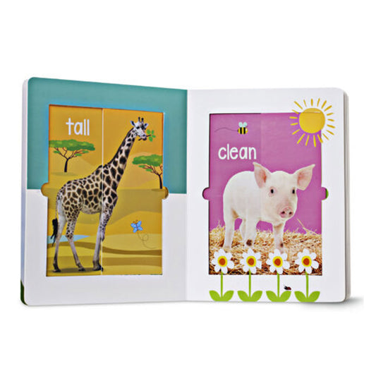 Scholastic Early Learners: Amazing Animals Big and Small