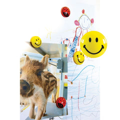 Smiley White Board Magnets - 5 pieces