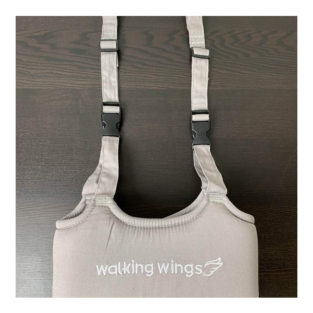 Walking wings hot sale for baby