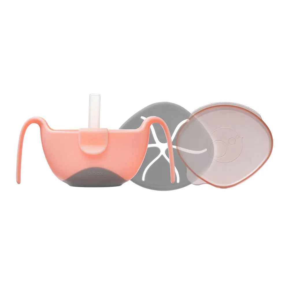 B.Box Bowl and Straw - Tutti Fruitti B.Box