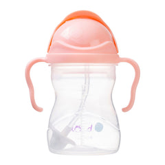 B.Box Sippy Cup - Tutti Fruitti